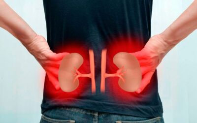 ¿Qué es la enfermedad renal crónica?